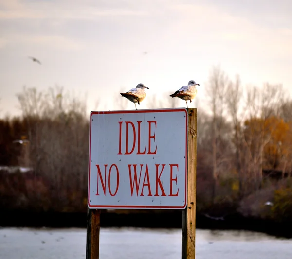 Sign Idle No Wake — Stock Photo, Image