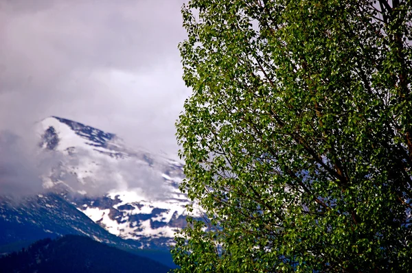 Colorado berg-1-34 — Stockfoto