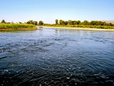 nehirler ağaçları ve kayaları