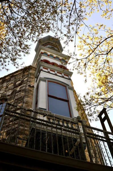 Georgetown Texas architecture and tree — Zdjęcie stockowe