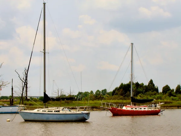 Segelbåtar — Stockfoto