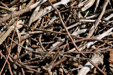 Stick doku arka plan