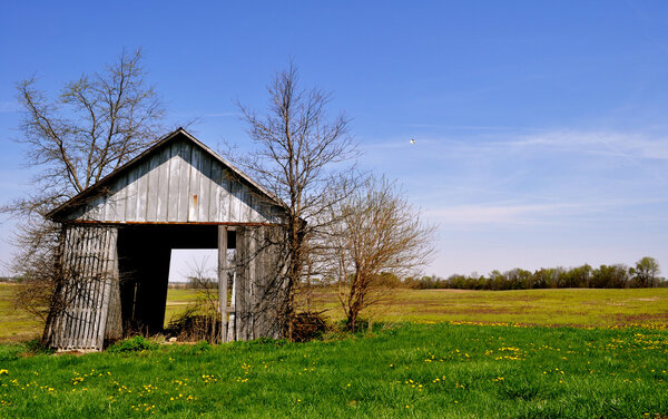 Barn tipping background