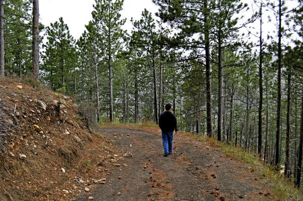 Trilha de caminhada de homem nas Black Hills — Fotografia de Stock