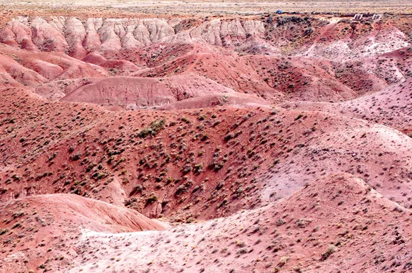 Táj Petrified forest — Stock Fotó