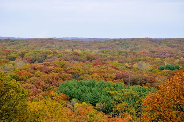 Brązowy county park stanowy — Zdjęcie stockowe