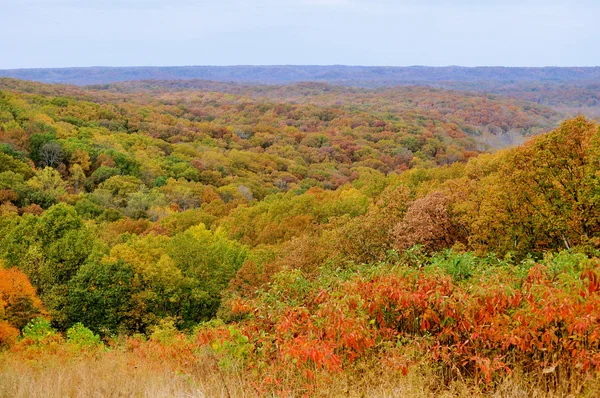 Браун округу State Park — стокове фото