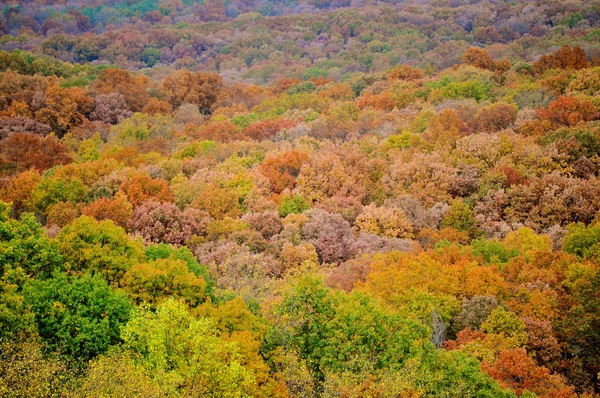 Kahverengi ilçe Devlet Parkı — Stok fotoğraf