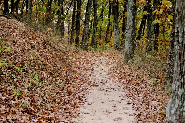 Parco statale della contea marrone — Foto Stock