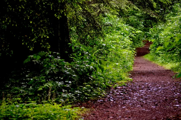 Trail till höger — Stockfoto