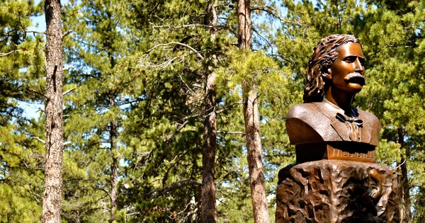 Deadwood - Wild Bill Statua sfondo — Foto Stock