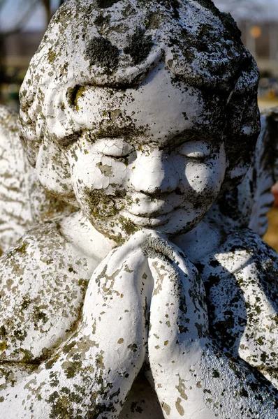 Gravesite - Anjo - orando - close up — Fotografia de Stock