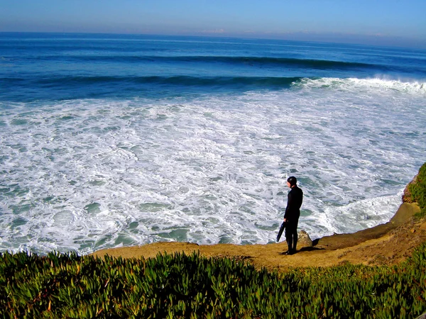 La Jolla Scuba Diver-1 — Foto Stock