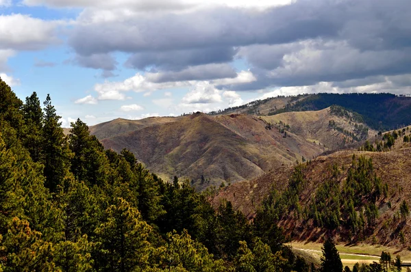 Black hills Jižní dakota-1-3 — Stock fotografie