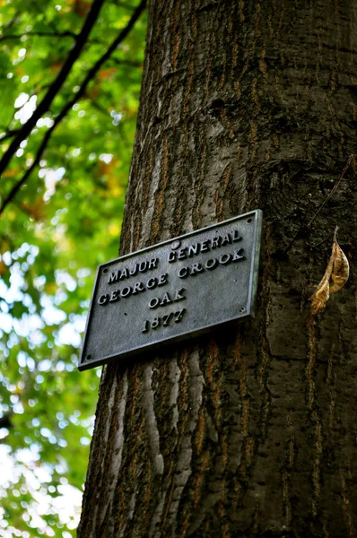 Tree - Major General George Crook Oak 1877 — Stock Photo, Image