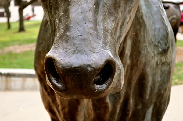 Estátua de Waco longhorn closeup — Fotografia de Stock