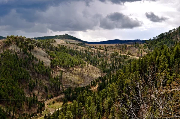 Black hills Jižní dakota-1-10 — Stock fotografie