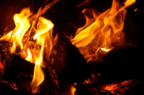 Πυρά προσκόπων φλόγες — ストック写真