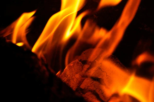 篝火火焰 — 图库照片