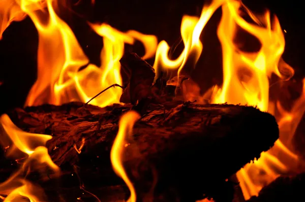 Campfire Flames — Stock Photo, Image