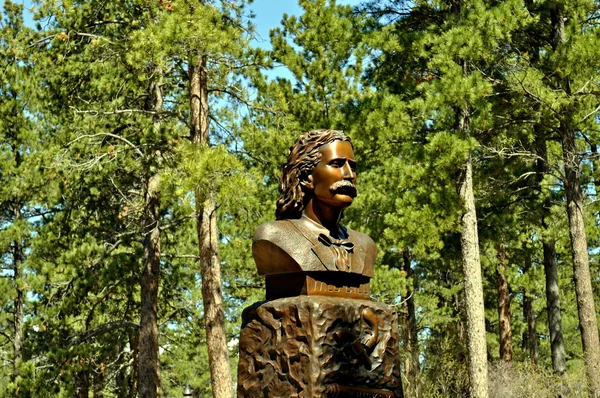 Wild Bill Statue — Stock Photo, Image