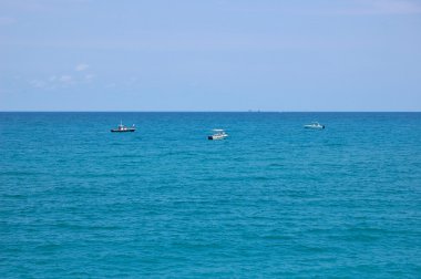 Jüpiter florida 2007 161