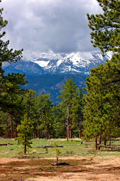 Montagne del Colorado-1-48 — Foto Stock