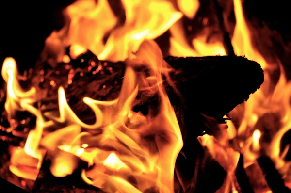 Campfire Flames — Stock Photo, Image