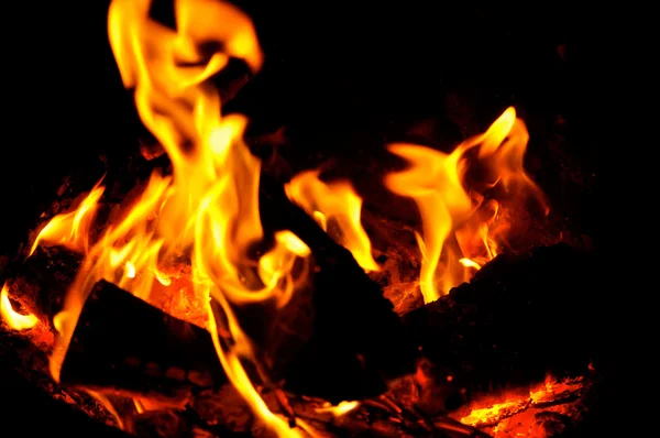 Campfire Flames — Stock Photo, Image