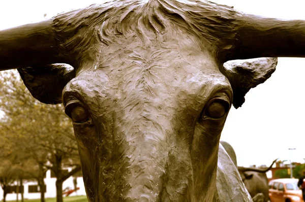 Waco standbeeld longhorn closeup — Stockfoto