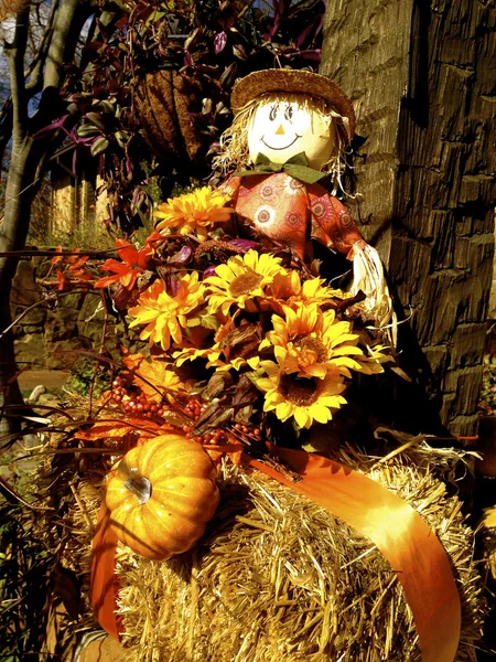 Scarecrow Harvest Decoration — Stock Photo, Image