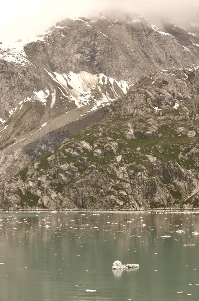 Ghiacciaio Montagna e acqua — Foto Stock