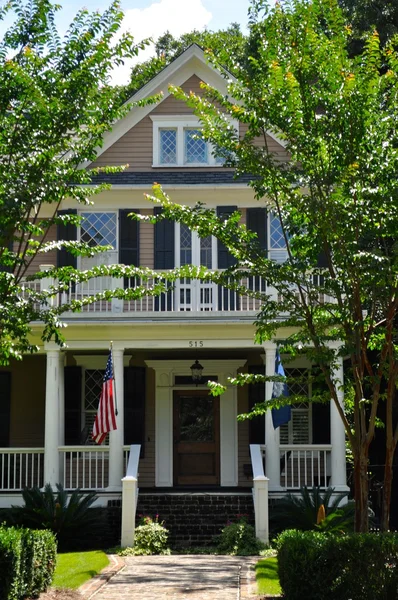 Georgetown south carolina historiska arkitektur — Stockfoto