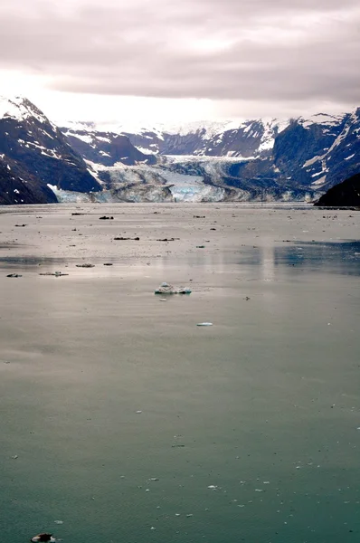 Ледник и океан — стоковое фото