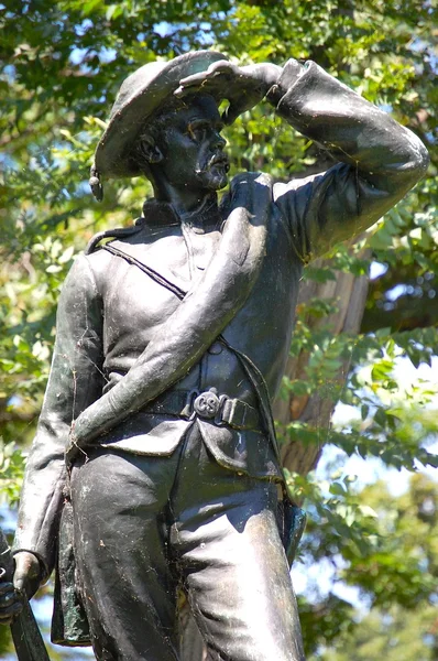 Estátua da Confederação da Ilha Johnson — Fotografia de Stock