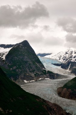 Alaskan Buzulu