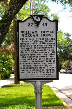 William doyle morgan ev