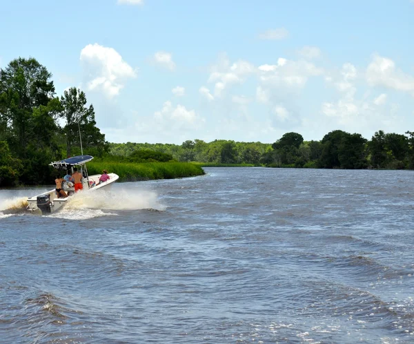 Waccamaw Fluss Hintergrund — Stockfoto