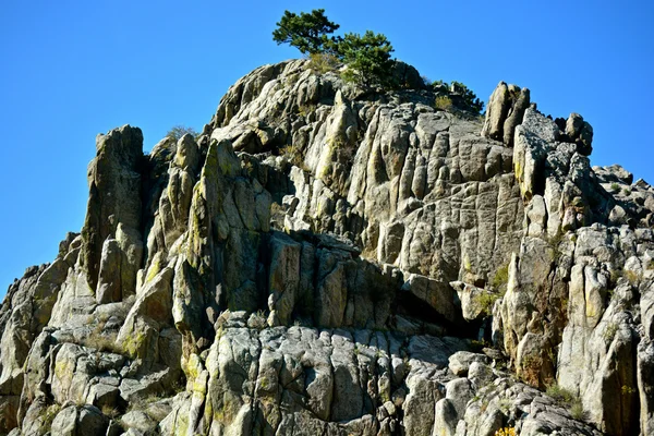 Colorado Mountain 4 — Stock Photo, Image