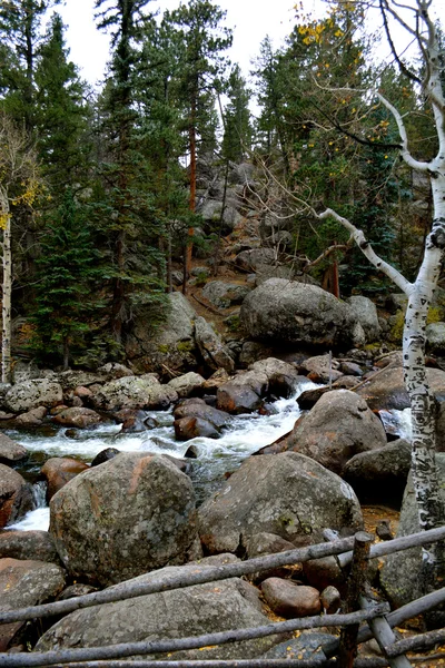 Rmnp - 062 — Fotografia de Stock