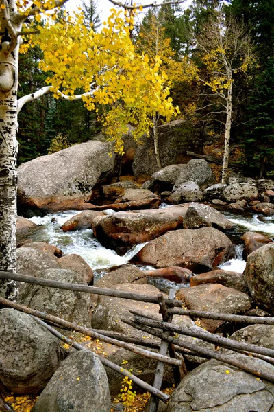 -064 rmnp — 图库照片