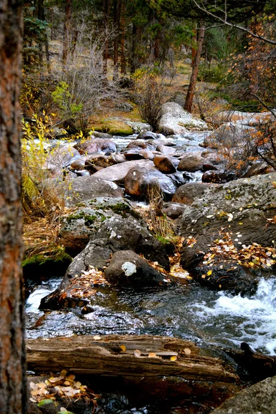 Rmnp - 097 — Fotografia de Stock