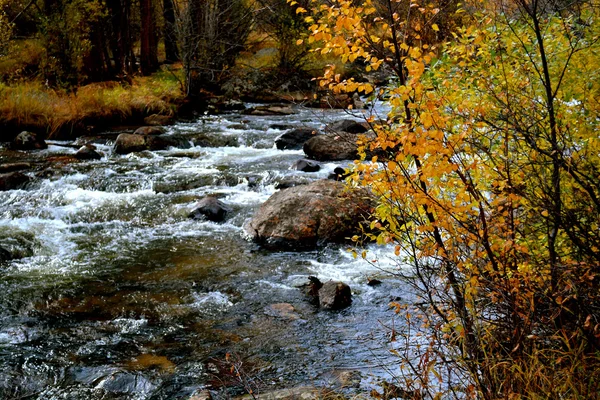 Rmnp - 107 — Stock Photo, Image