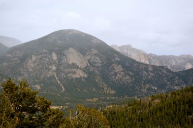 RMNP - 593