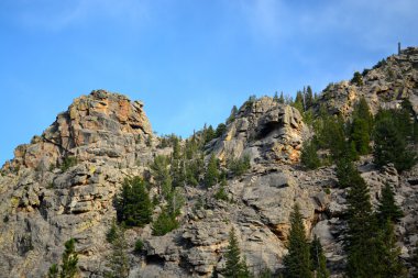 RMNP - 815