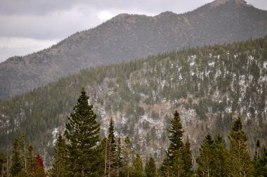 RMNP 2-331