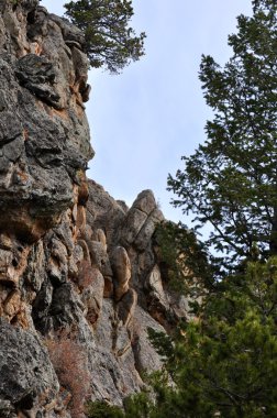 RMNP 2-576