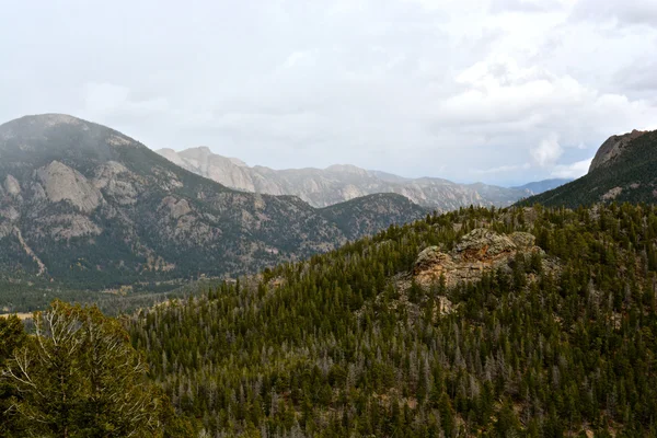 RMNP - 624 — Foto Stock