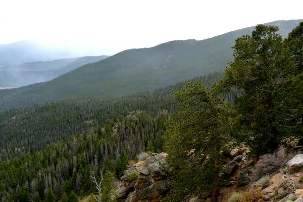 Rmnp - 635 — Stock Photo, Image