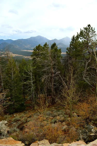 Rmnp - 684 — Stockfoto